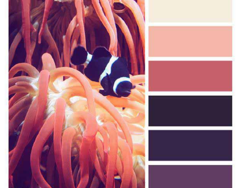 اصول همنشینی رنگها در طراحی با رنگ بنفش